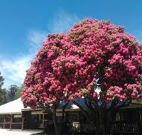 Crossways Country Inn - Surfers Gold Coast