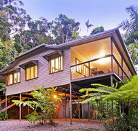 Daintree Magic - Surfers Gold Coast