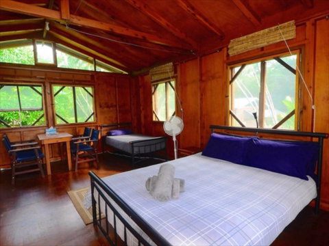 Daintree Rainforest Bungalows - Surfers Gold Coast 2