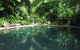 Daintree Rainforest Retreat Motel - thumb 0