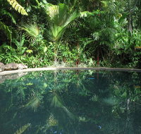 Daintree Rainforest Retreat Motel - Surfers Gold Coast