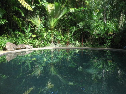 Daintree Rainforest Retreat Motel - Surfers Gold Coast 0