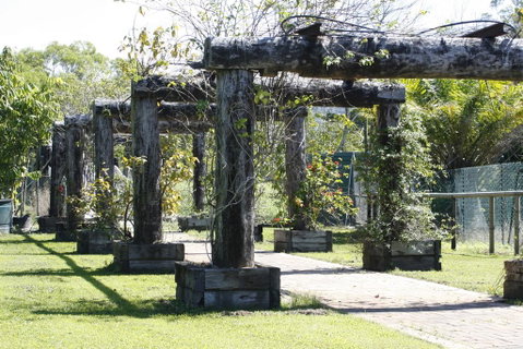 Daintree Wild Bed & Breakfast - Surfers Gold Coast 2