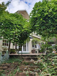 Davaar Hideaway Leura