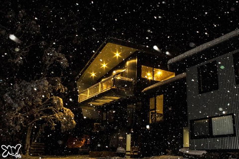 Diana Alpine Lodge - Surfers Gold Coast 0