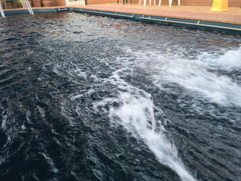 Dragon Phoenix Resort - Surfers Gold Coast 1
