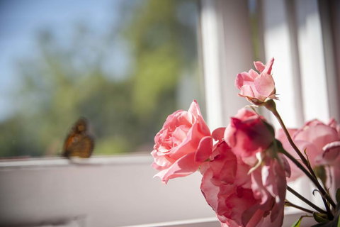 Dwellingup Retreat - Surfers Gold Coast 3