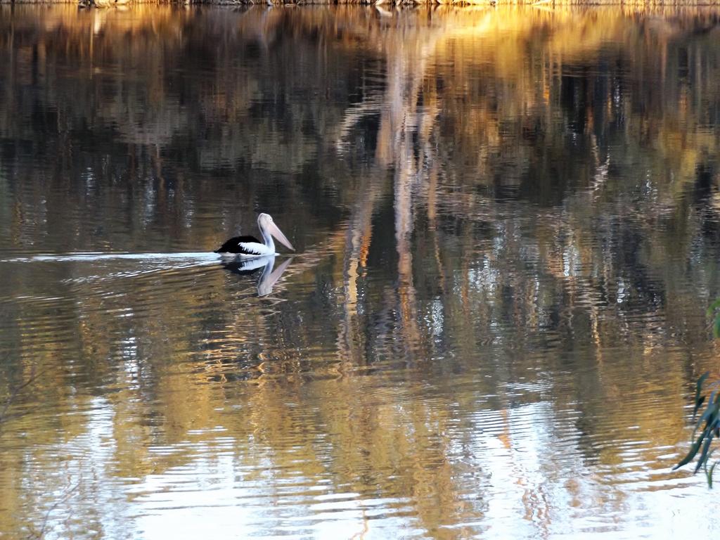 Euston NSW Surfers Gold Coast
