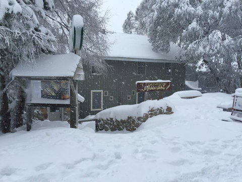 Feathertop Alpine Lodge - Surfers Gold Coast 0