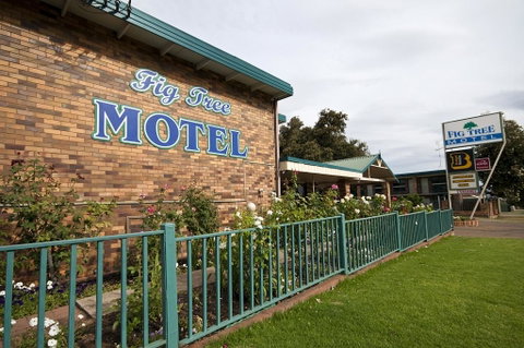 Fig Tree Motel - Surfers Gold Coast 2