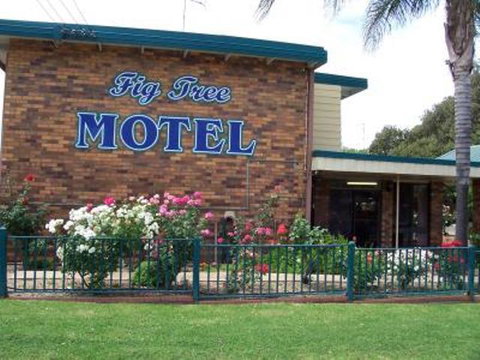 Fig Tree Motel - Surfers Gold Coast 1