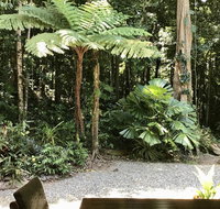 Forest Views Daintree - Surfers Gold Coast