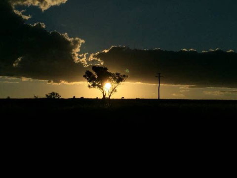 Fourjay Farmstay - Surfers Gold Coast 2