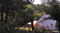 Book Zeehan Accommodation Vacations Surfers Gold Coast Surfers Gold Coast