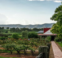 Hanging Tree Wines - Surfers Gold Coast