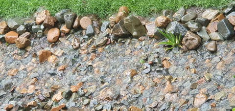 Hide A Way At Argente Heart Of Hinterland - Surfers Gold Coast 2