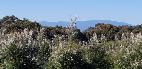 Hideaway Valley Farm - Surfers Gold Coast 1