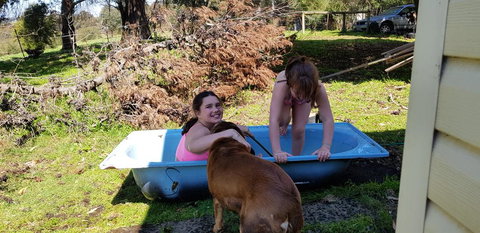 Hideaway Valley Farm - Surfers Gold Coast 3