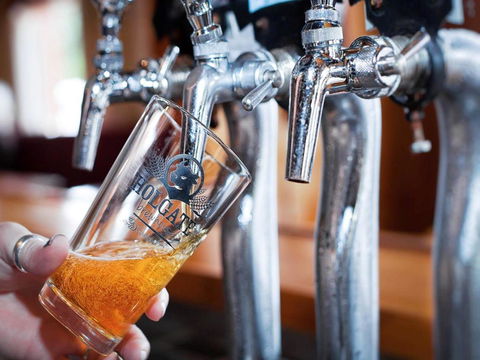 Holgate Brewhouse - Surfers Gold Coast 0