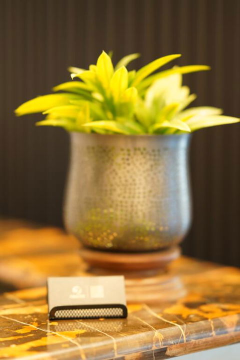 Jephson Hotel & Apartments - Surfers Gold Coast 3
