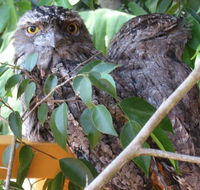 Karma Cottage - Surfers Gold Coast