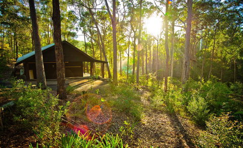 Kianinny Bush Cottages - Surfers Gold Coast 0