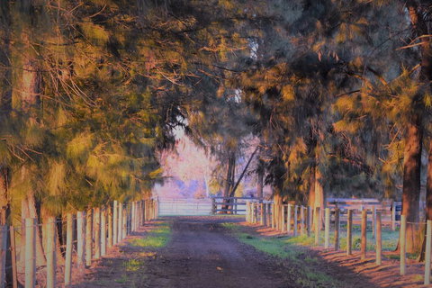 King River Cottage - Surfers Gold Coast 3