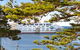 Koonya Sur Mer - thumb 2