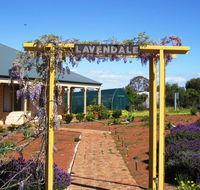 Lavendale Farmstay and Cottages York - Surfers Gold Coast