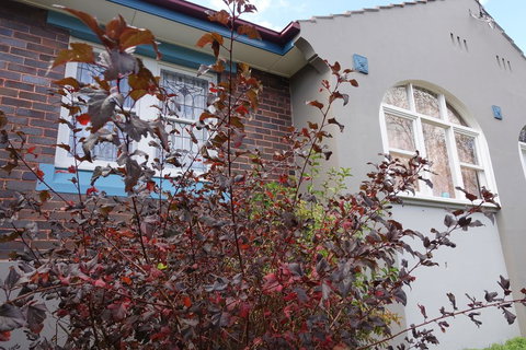 Lurline Villas - Surfers Gold Coast 2