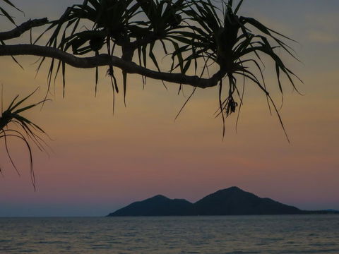 Mission Beach Hideaway Holiday Village - Surfers Gold Coast 1