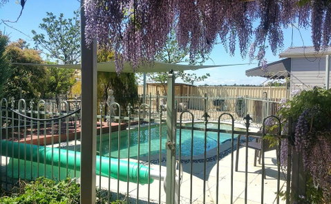 Must Love Dogs B&B & Self Contained Cottage - Surfers Gold Coast 2