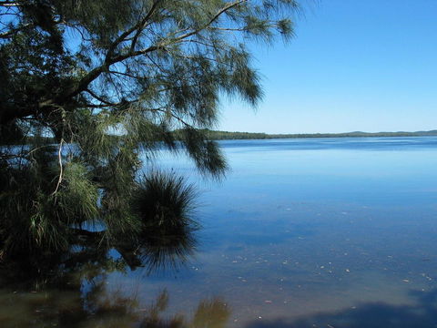 Myall River Magic - Surfers Gold Coast 1