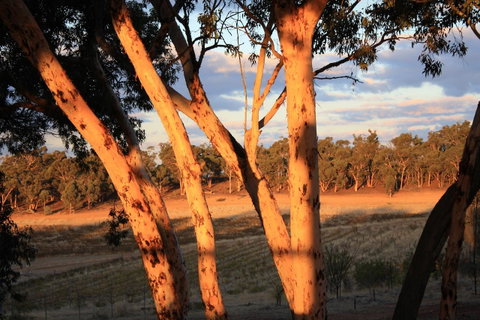 Hotham Ridge Estate - Surfers Gold Coast 30