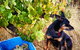 Hotham Ridge Estate - thumb 33
