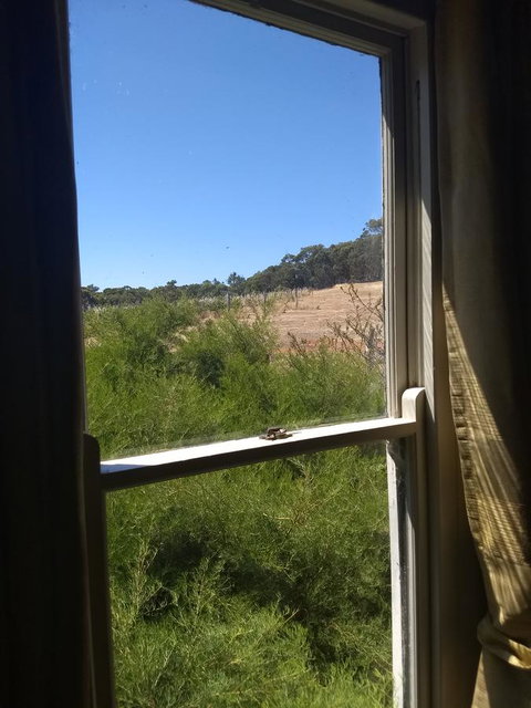 Hotham Ridge Estate - Surfers Gold Coast 8