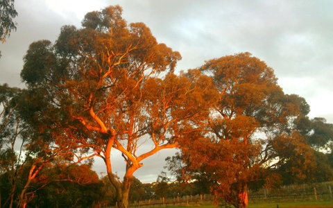 Hotham Ridge Estate - Surfers Gold Coast 35