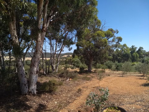 Hotham Ridge Estate - Surfers Gold Coast 13