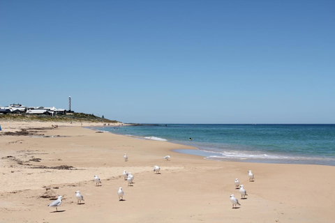 Bluebird Cottage - Surfers Gold Coast 40
