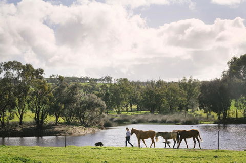 Daisy Cottage - Surfers Gold Coast 28