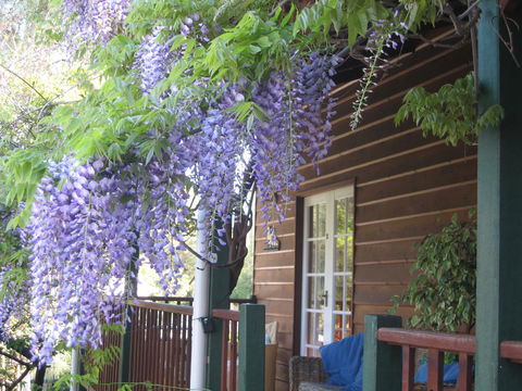 RoseMoore Bed & Breakfast - Surfers Gold Coast 11