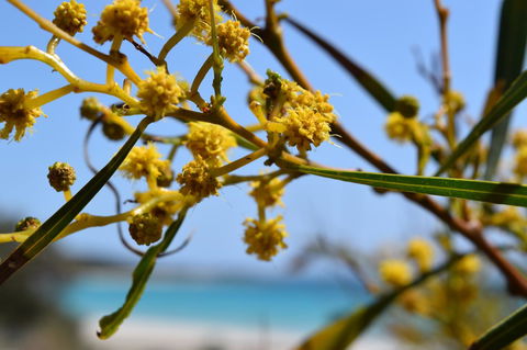 Eagle Bay House - Surfers Gold Coast 28