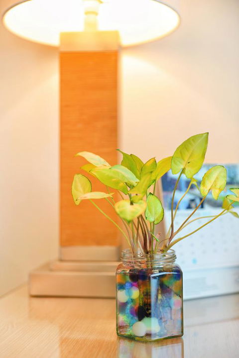 Bunbury Hotel Koombana Bay - Surfers Gold Coast 7