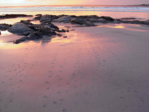 Beachend Bicheno - Surfers Gold Coast 2