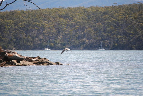 A Slice Of Paradise - Surfers Gold Coast 18