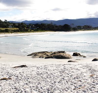 Mermaids of Bicheno - Surfers Gold Coast