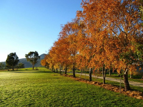 Plovers Ridge Country Retreat - Surfers Gold Coast 8