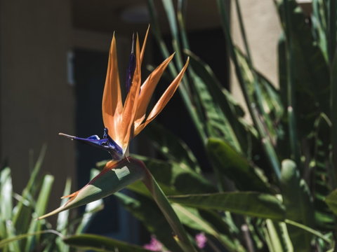 Russell House - Surfers Gold Coast 2