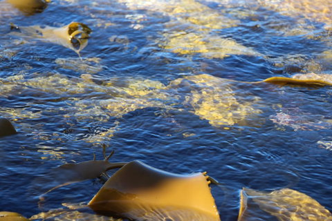 Blu-Sea 365 - Surfers Gold Coast 28