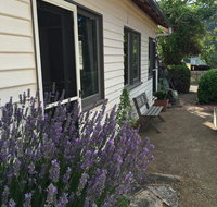 Walnut Cottage - Surfers Gold Coast